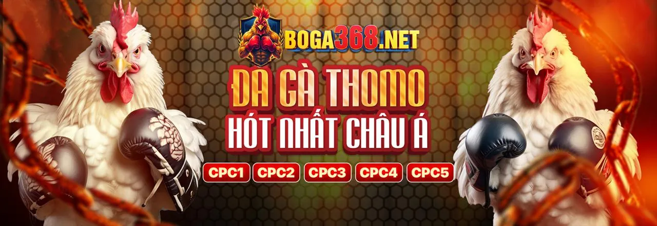 Minh họa Phân tích dữ liệu lớn trong iGaming